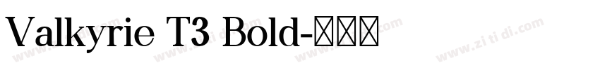 Valkyrie T3 Bold字体转换